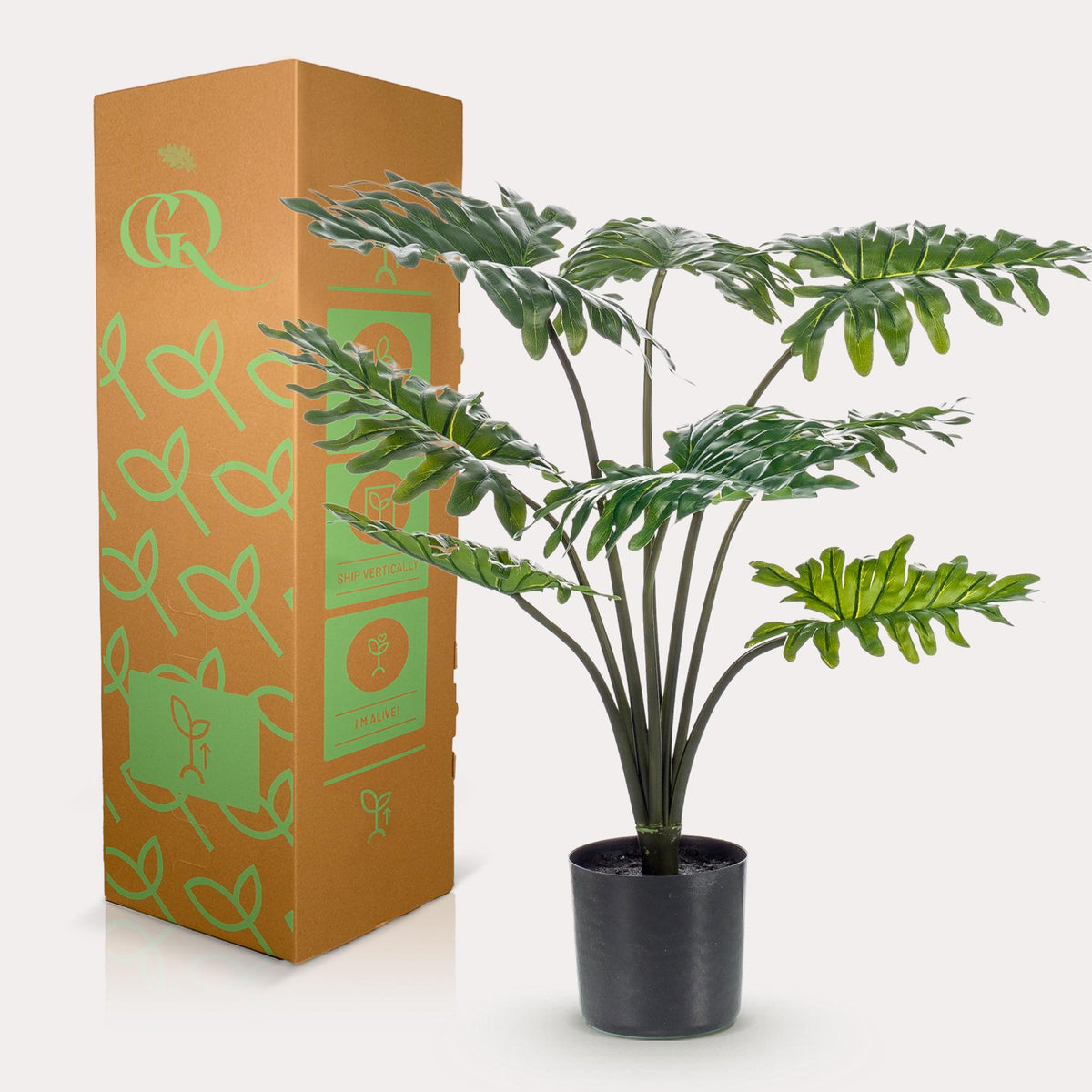 Productafbeelding van Pureplant