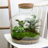 DIY Planten terrarium met licht - Fat Joe - Met hark en schep