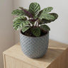 Plantenpot met reliëf van vierkantjes, blauw, Ø13,5 cm