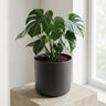 Elho b.for soft bloempot, antraciet, mat fluweelzacht, 14 cm