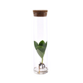 Productafbeelding van Pureplant