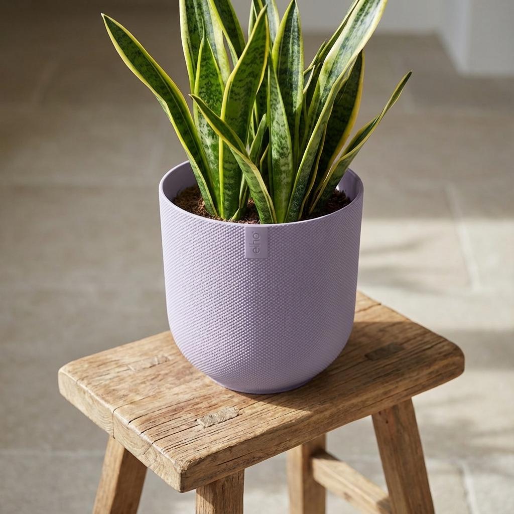 Detailfoto van Pot Elho Jazz Round Lavender Lilac - D19