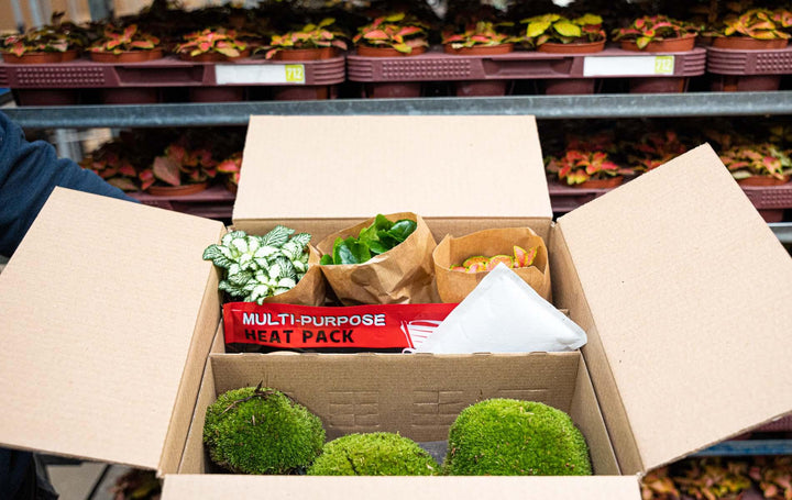 Heatpack XL voor plantenverzending, 72 uur warmte