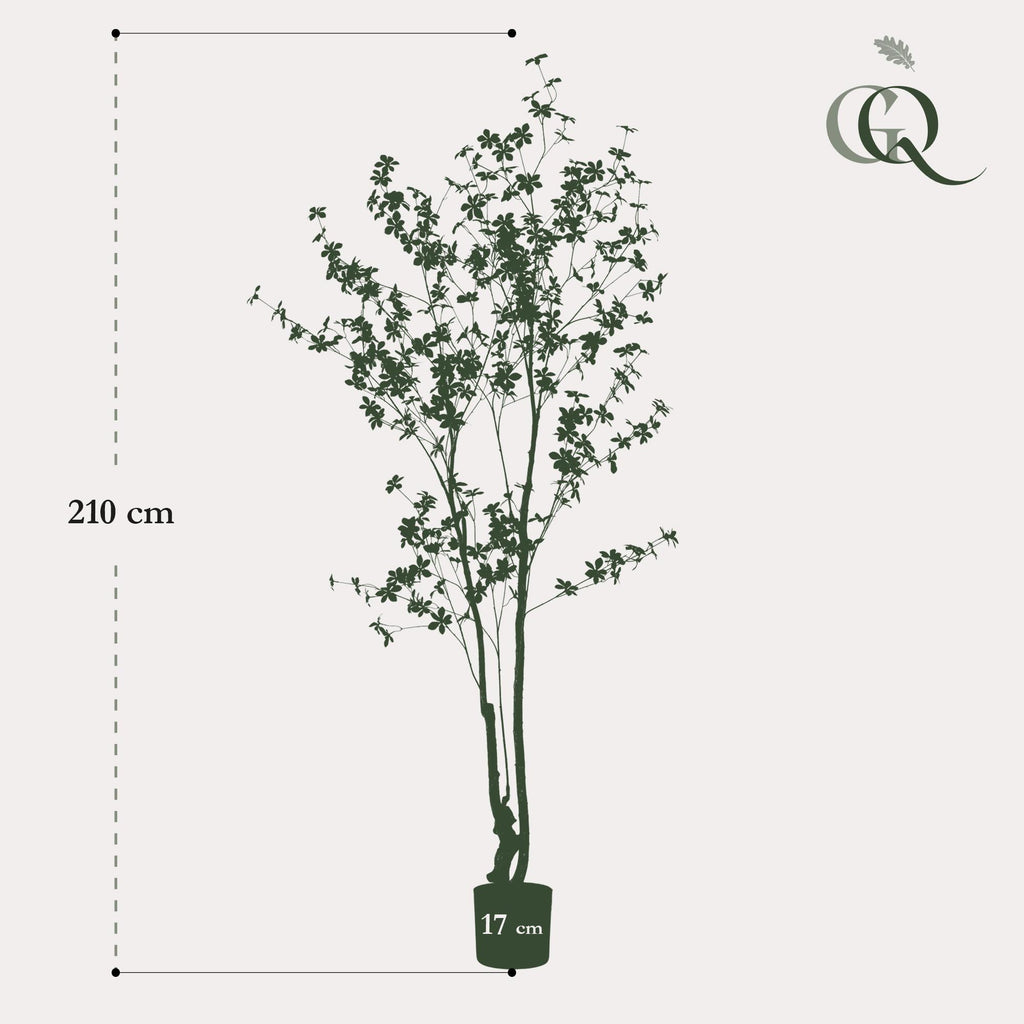 Productafbeelding van Pureplant