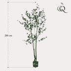 Productafbeelding van Pureplant