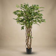 Ficus Liana Kunstboom