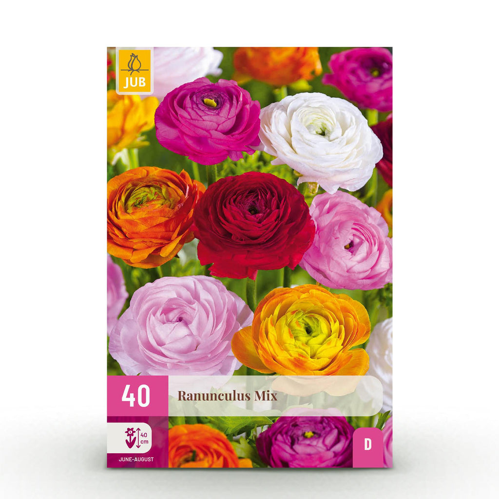 Ranunculus Mix, detail van het blad