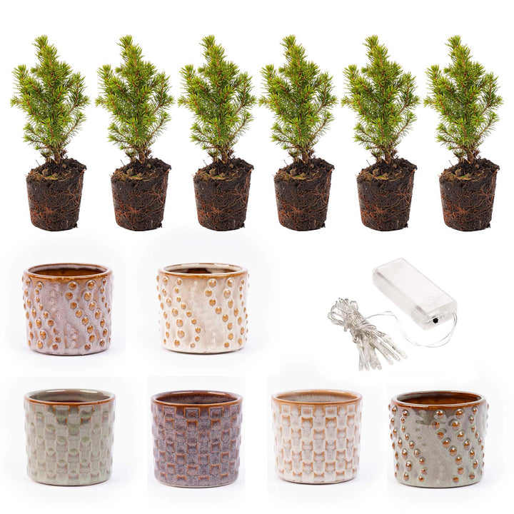 Mini-kerstbomen met pot set Madrid, 20 ledlampjes, set van 6