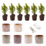 Mini-kerstbomen met pot set Madrid, 20 ledlampjes, set van 6