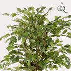 kunstplant - Ficus liana  - Vioolbladplant, detail van het blad