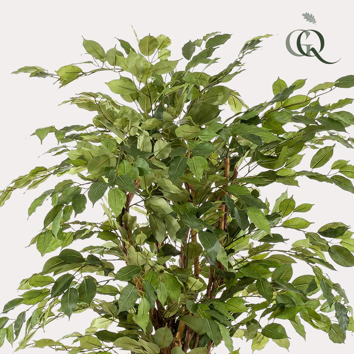 kunstplant - Ficus liana  - Vioolbladplant, detail van het blad