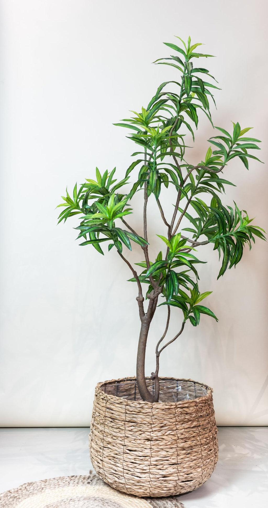 Productafbeelding van Pureplant