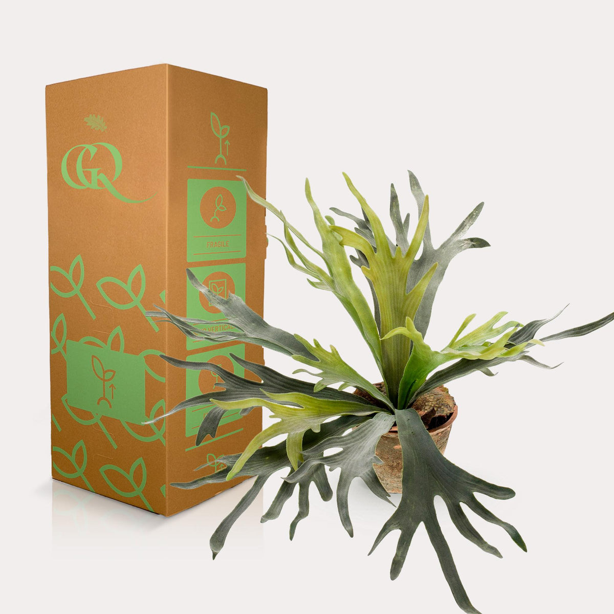 Productafbeelding van Pureplant