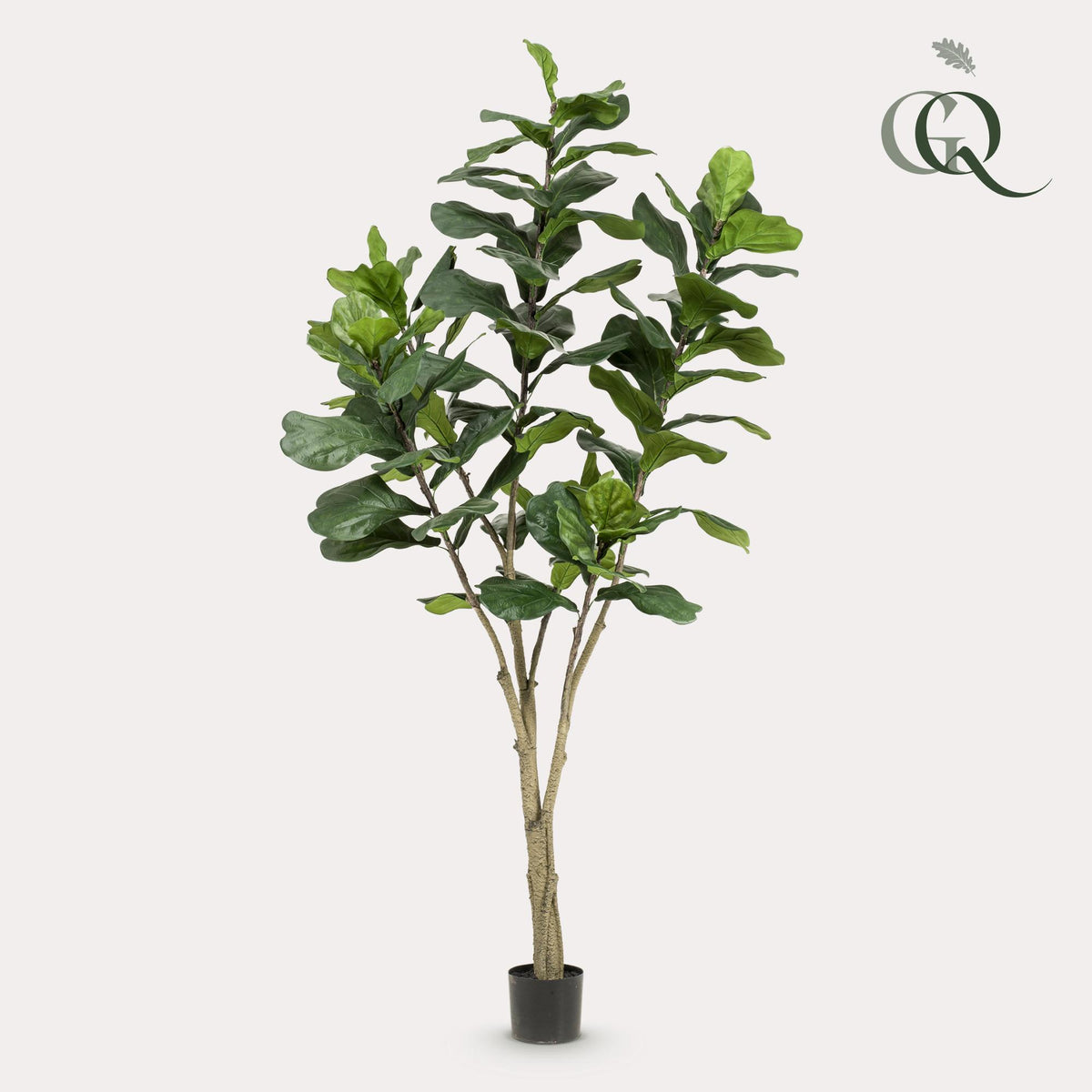 Kunstplant - Ficus Lyrata - Tabaksplant, plant in pot