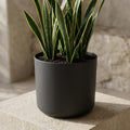 Elho b.for soft bloempot, antraciet, mat fluweelzacht, 18 cm, plant in pot