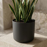 Elho b.for soft bloempot, antraciet, mat fluweelzacht, 18 cm