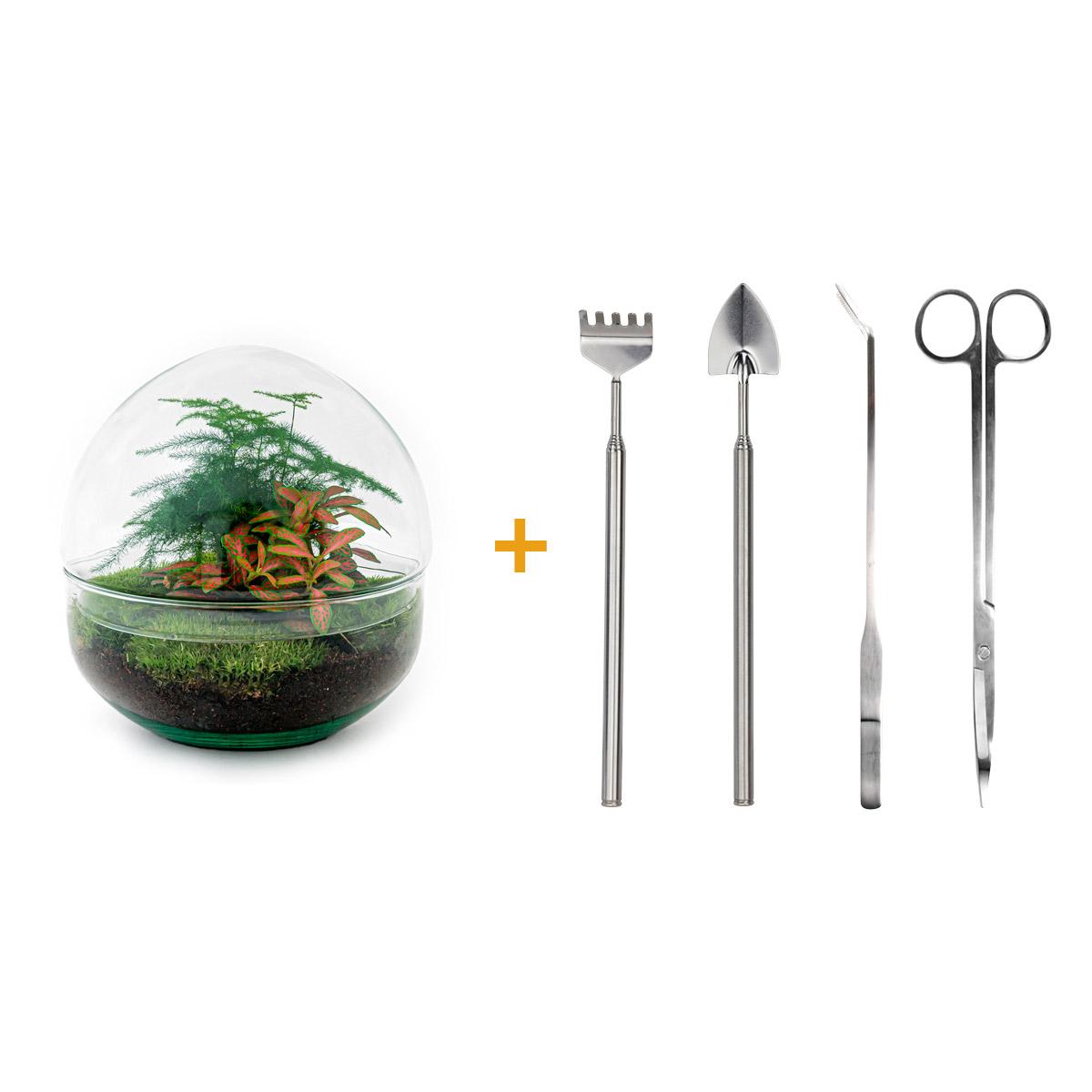Productafbeelding van Pureplant