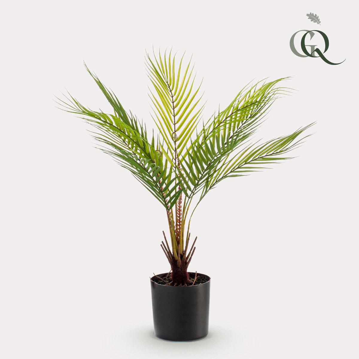 Kunstplant Chamaedorea, bergpalm met veerachtig blad, 50 cm, kenmerkend blad