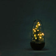 DIY terrarium - Egg Christmas - Kerst decoratie