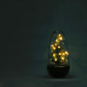 DIY terrarium - Egg Christmas - Kerst decoratie