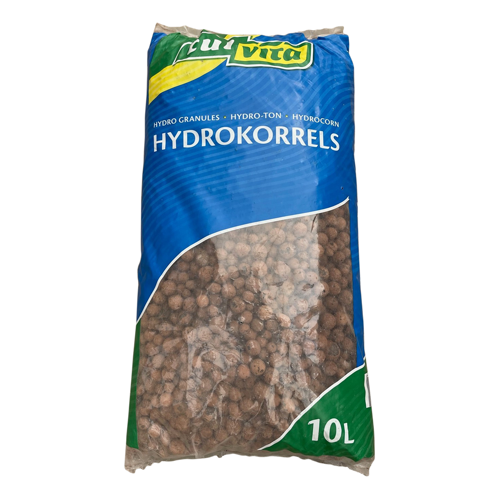Hydrokorrels 8, plant in pot