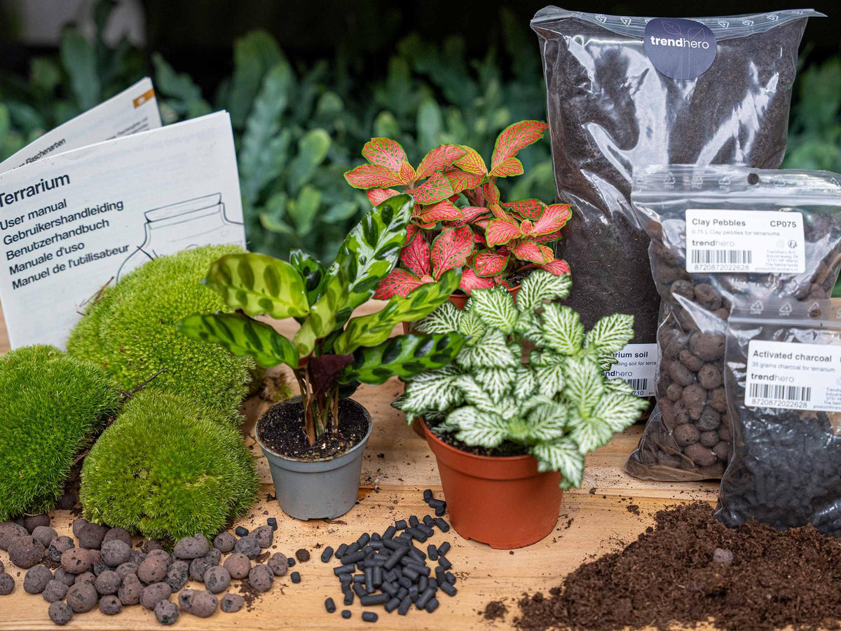 Productafbeelding van Pureplant