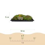 Sedum mat, kenmerkend blad