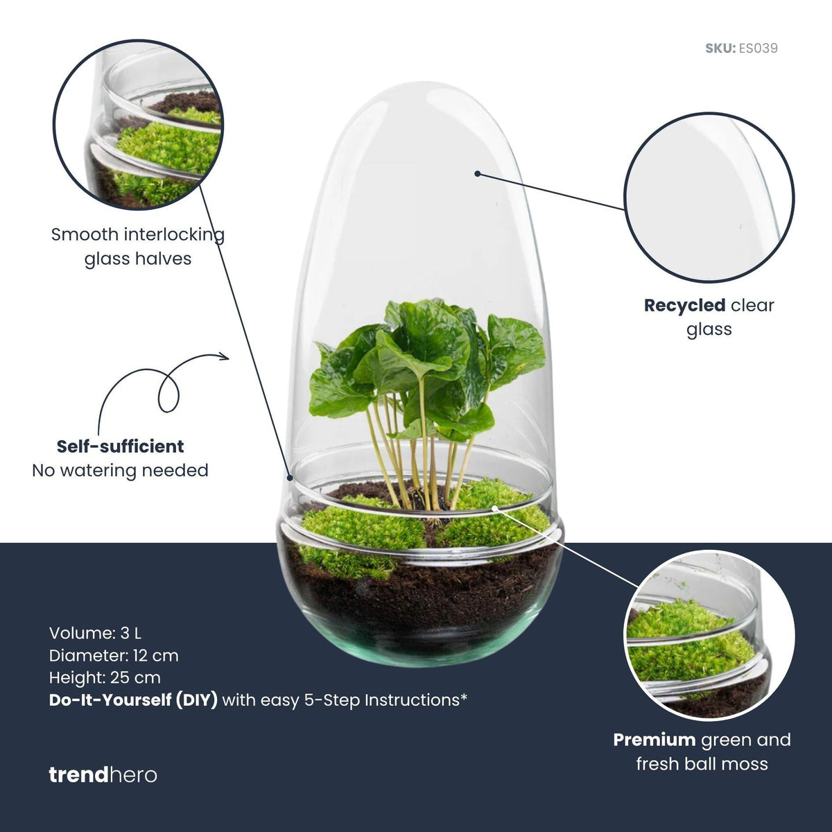 Detailfoto van DIY Planten terrarium tweedelig bolglas - Egg Coffea