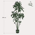 Productafbeelding van Pureplant