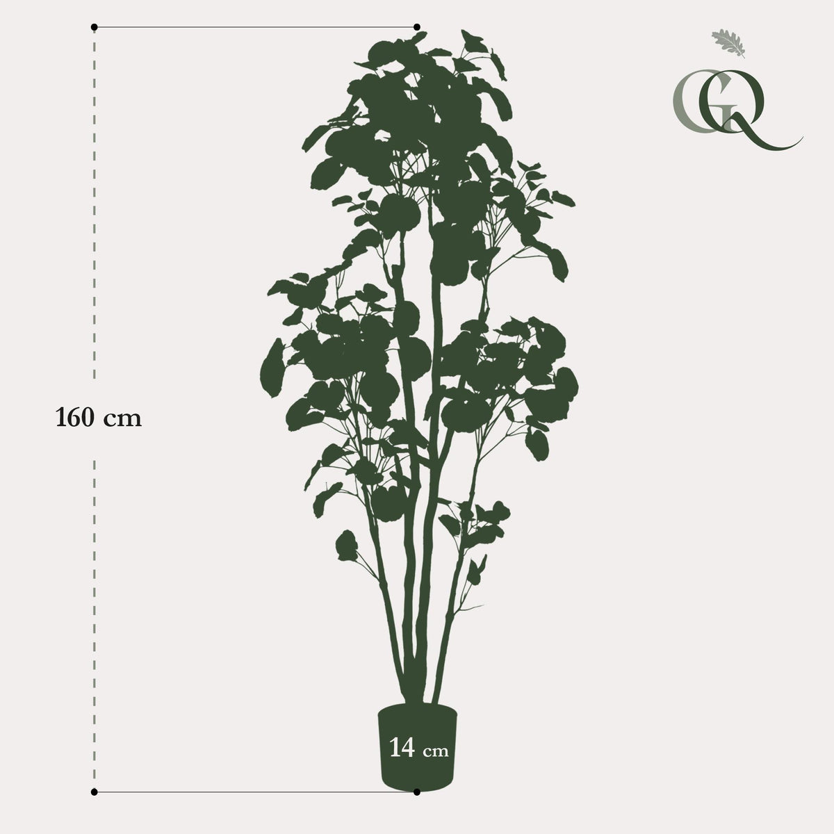 Productafbeelding van Pureplant