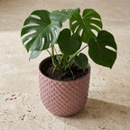 Productfoto van Mini plantenpot met reliëfstructuur in zacht roze, Ø7 cm