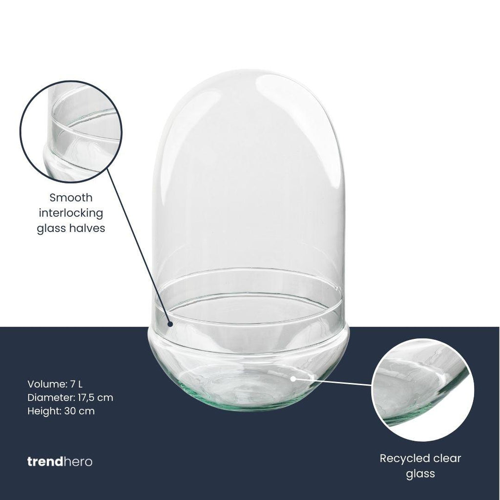Terrarium fles tweedelig - Egg XL, kenmerkend blad
