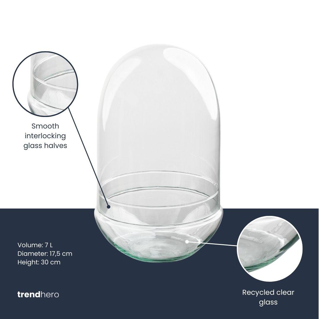 Terrarium fles tweedelig - Egg XL, kenmerkend blad