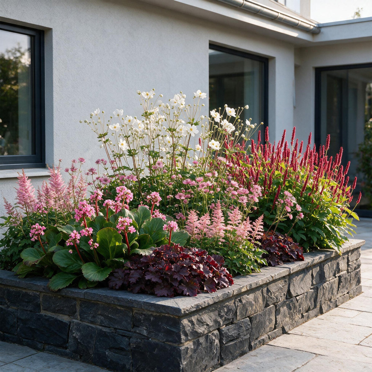 Borderpakket vaste planten, schaduw, plant in pot