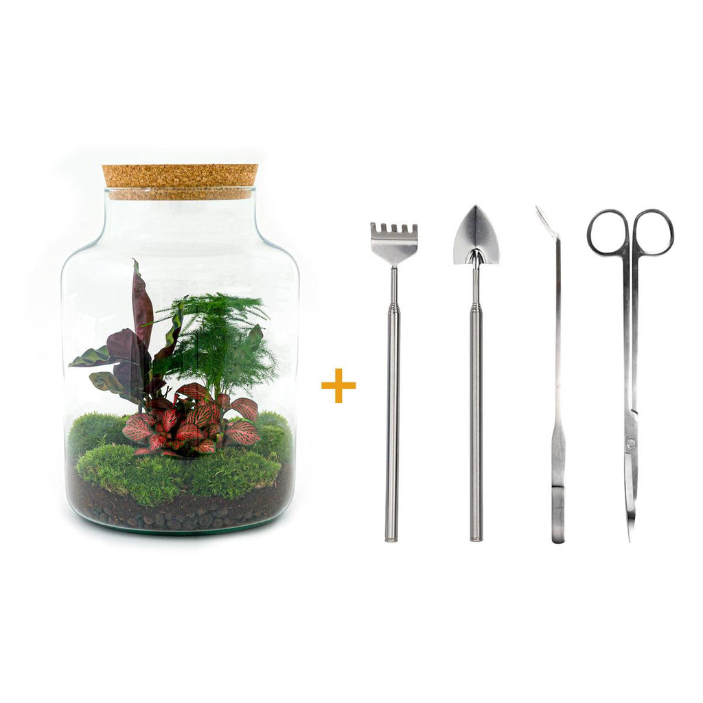 Detailfoto van DIY terrarium Milky met licht, compleet gereedschap