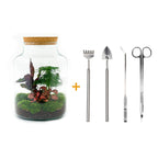 Detailfoto van DIY terrarium Milky met licht, compleet gereedschap