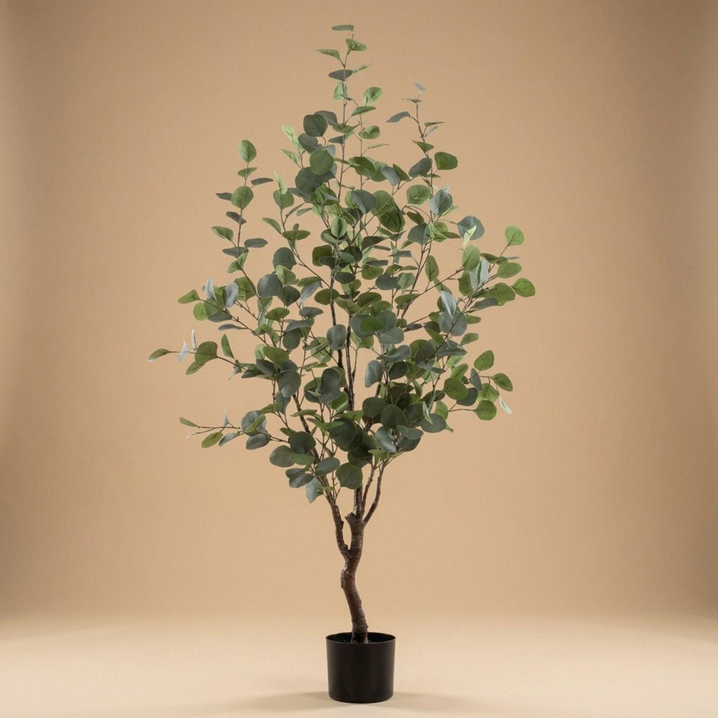 Eucalyptus kunstboom, groeiwijze van de plant