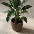 Productfoto van Capi Nature Groove pot, groefstructuur, warm taupe, Ø25 cm