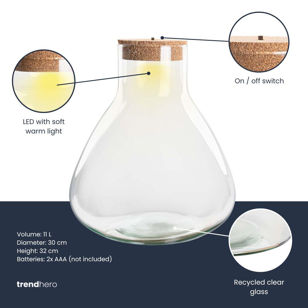 Terrarium fles met verlichting - Sam XL, groeiwijze van de plant