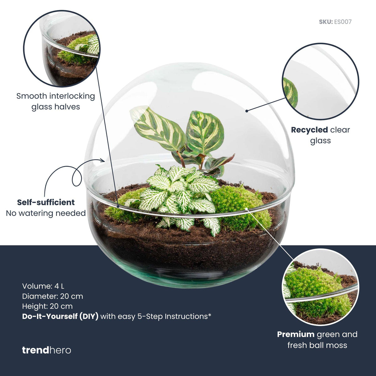Detailfoto van DIY terrarium bolglas Dome, zonder gereedschap