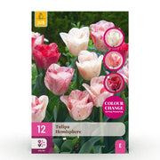 Tulp Hemisphere mix