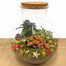 Bolder Bob Bonsai Kerst - Zelf samenstellen