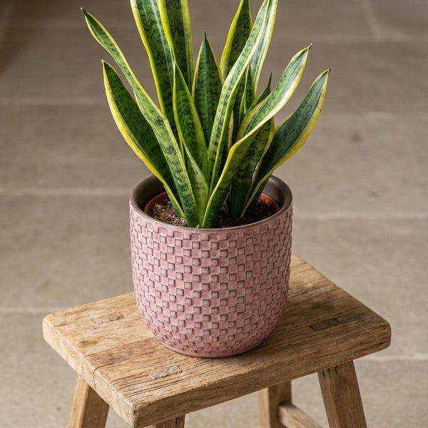 Plantenpot met reliëf, keramiek in oudroze, Ø13,5 cm