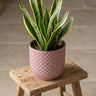 Plantenpot met reliëf, keramiek in oudroze, Ø13,5 cm