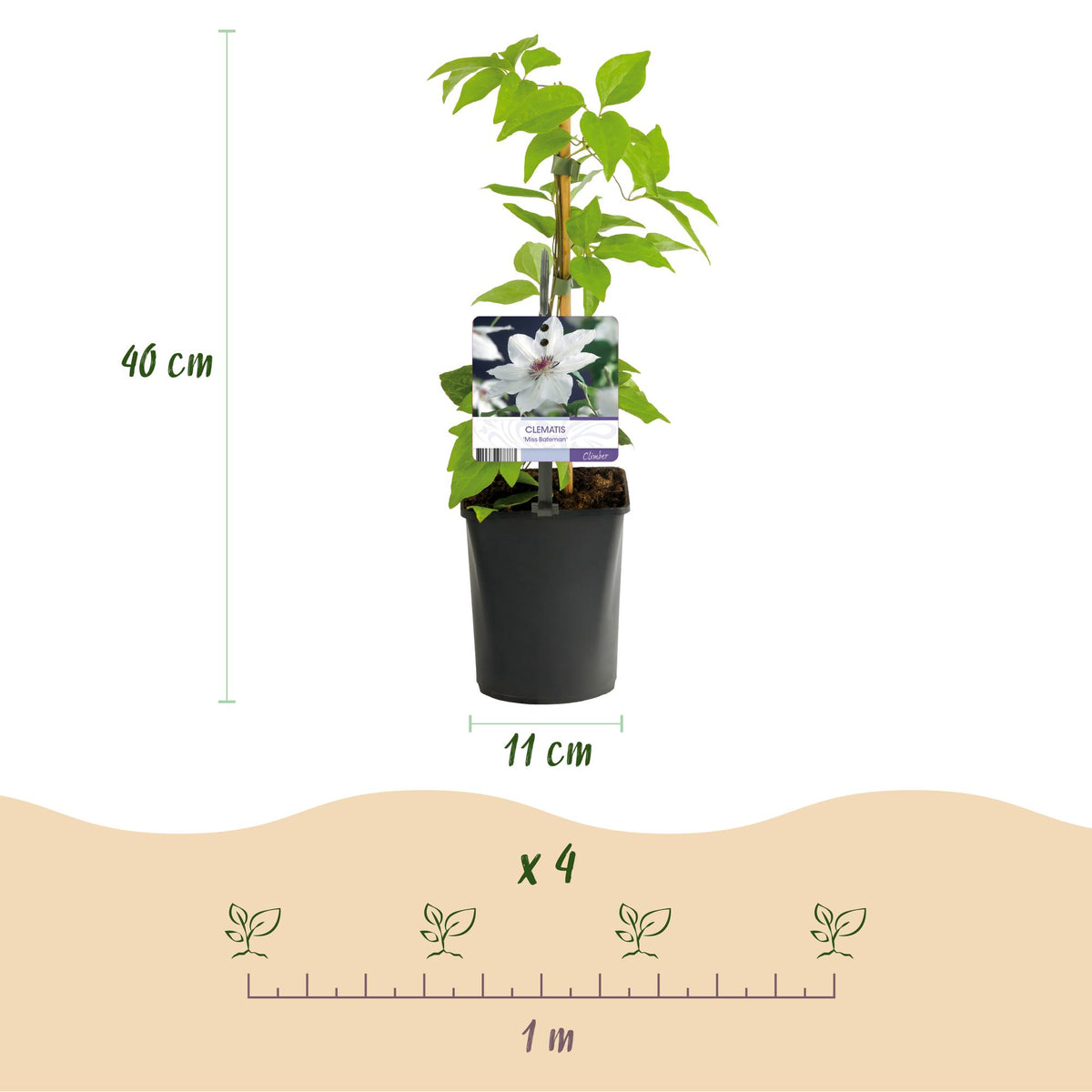 Productafbeelding van Pureplant