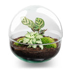 Detailfoto van DIY terrarium bolglas Dome, zonder gereedschap