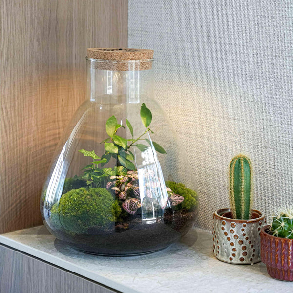 Terrarium Sam met gegraveerde kurk en licht 'Love Mom'