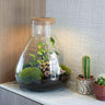 Terrarium Sam met gegraveerde kurk en licht 'Love Mom'