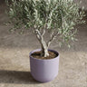 Pot Elho Jazz Round Lavender Lilac - D19