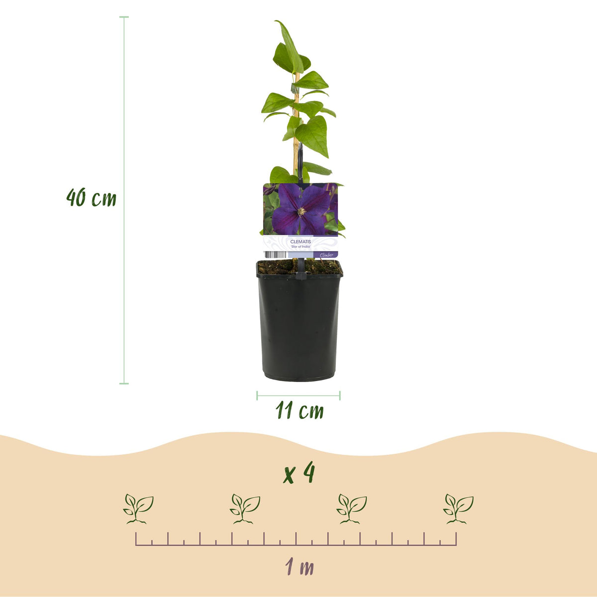 Productafbeelding van Pureplant